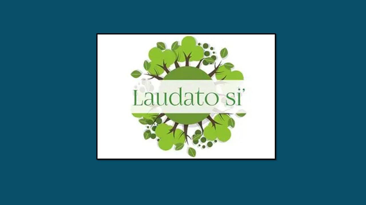 LSi