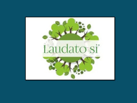 LSi